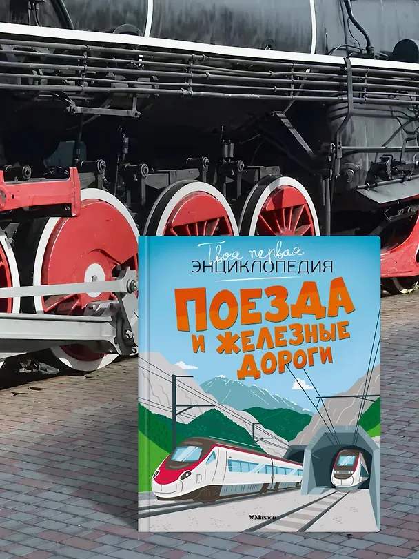 Книга Поезда и железные дороги (Филипп Симон, Мари-Лор Буэ) — 6