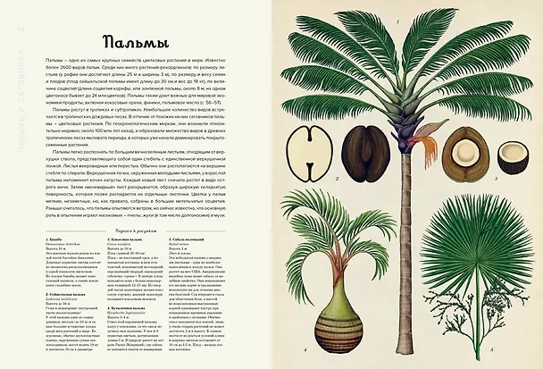 Книга Ботаникум (Кэти Уиллис) — 9