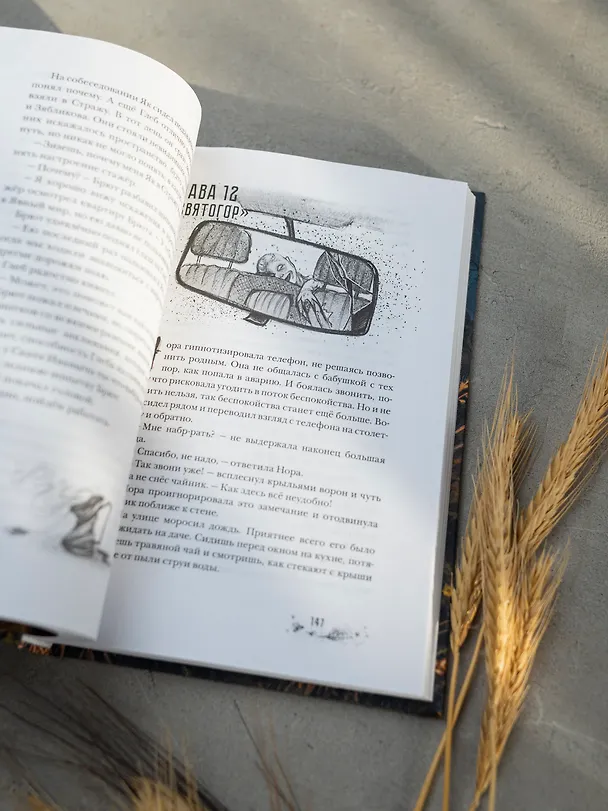 Книга Бессмертник (Надя Сова) — 11