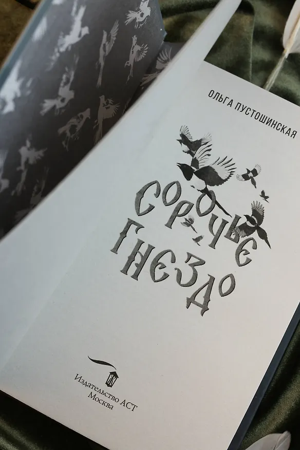 Книга Сорочье гнездо (Ольга Пустошинская) — 11