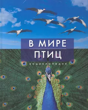 В мире птиц — 2242550 — 1