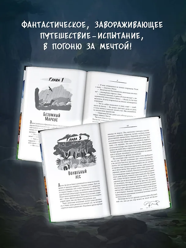 Книга Карта Волшебного леса (Чэнь Цзятун) — 6