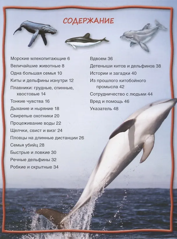 Книга Киты и дельфины (Стив Паркер) — 2