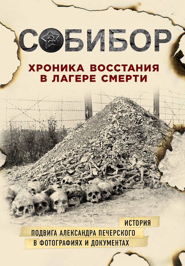 Книга Собибор. Хроника восстания в лагере смерти (Константин Могилевский, Михаил Эдельштейн, Юлия Макарова) — 1