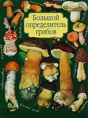Большой определитель грибов — 1198056 — 1
