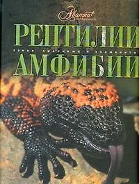 Рептилии. Амфибии