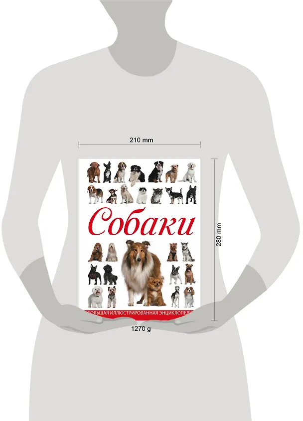 Книга Собаки (Ирина Барановская) — 4