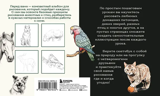 Книга Скетчбук по рисованию животных. Простые пошаговые уроки по созданию любимых питомцев (Анна Николаева) — 2