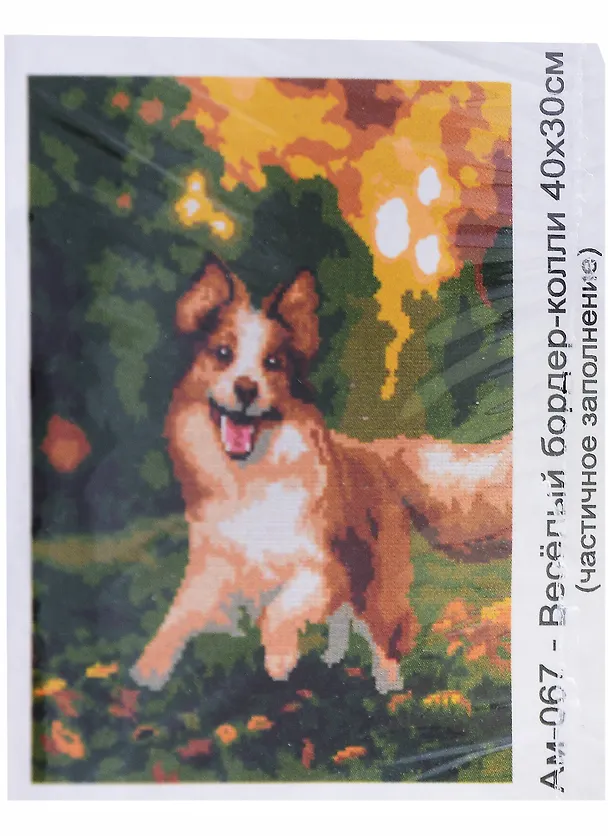 Алмазная мозаика "Весёлый бордер-колли", 30х40 см 2956203 — 2