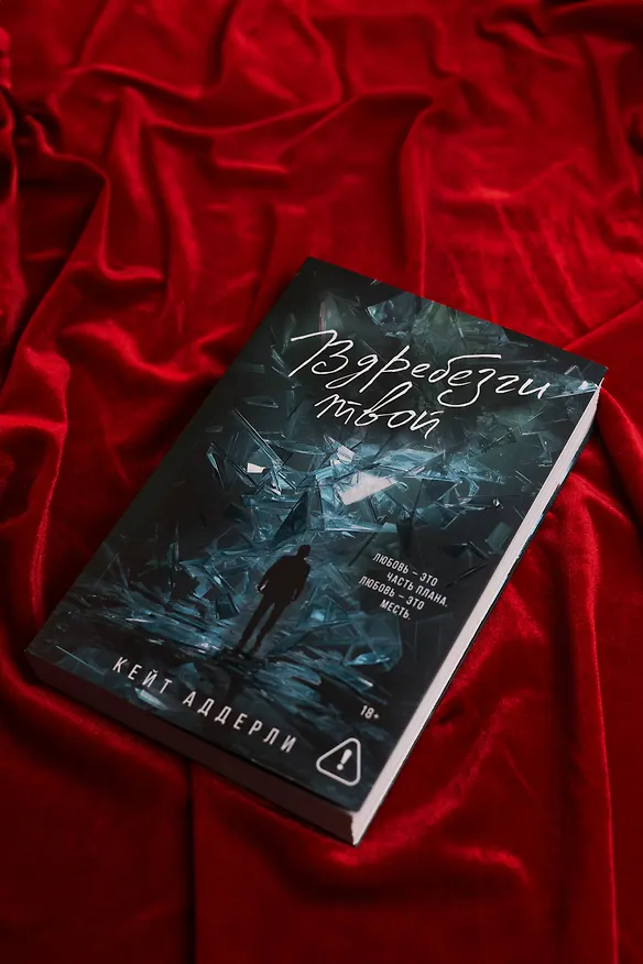Книга Вдребезги твой (Кейт Аддерли) — 11