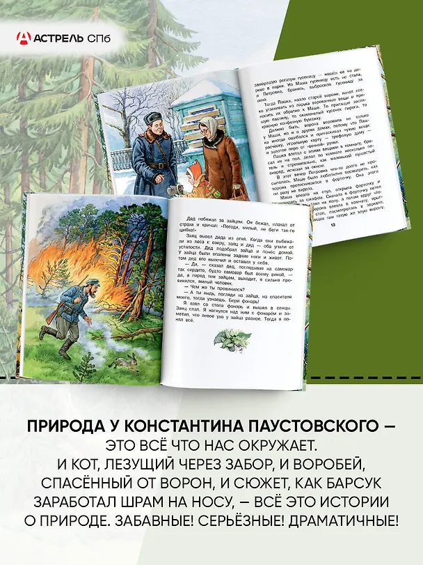 Книга Корзина с еловыми шишками (Константин Паустовский) — 8