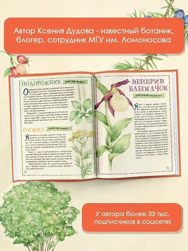 Книга Мой первый гербарий (Ксения Дудова) — 7