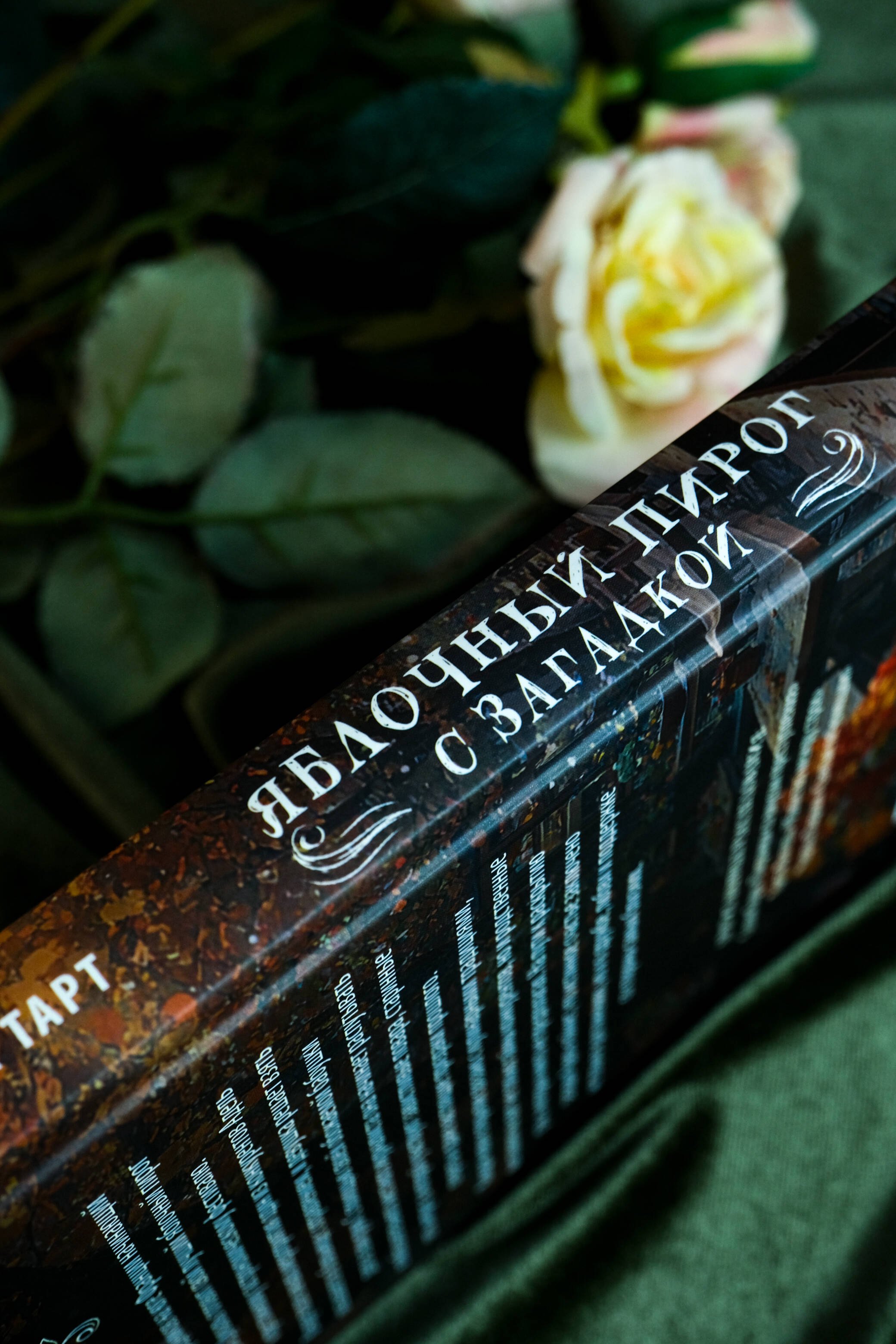 Изображение бумажной книги