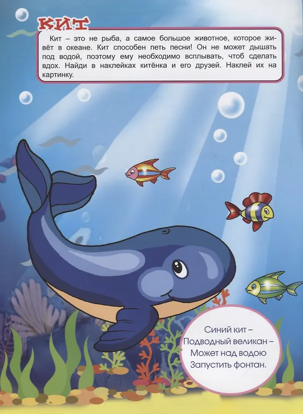 Книга Жители океанов и морей. Книжка с многоразовыми наклейками (Дарья Морозова) — 3