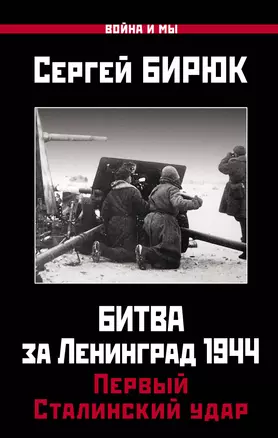 Битва за Ленинград 1944: Первый Сталинский удар — 2837423 — 1