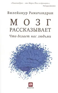 Мозг рассказывает. Что делает нас людьми