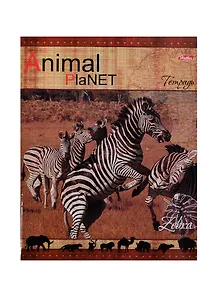 Тетрадь в линейку Hatber, Animal Planet, 48 листов, в ассортименте