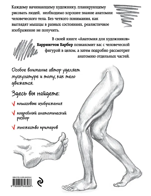 Книга Анатомия для художников (Баррингтон Барбер) — 2