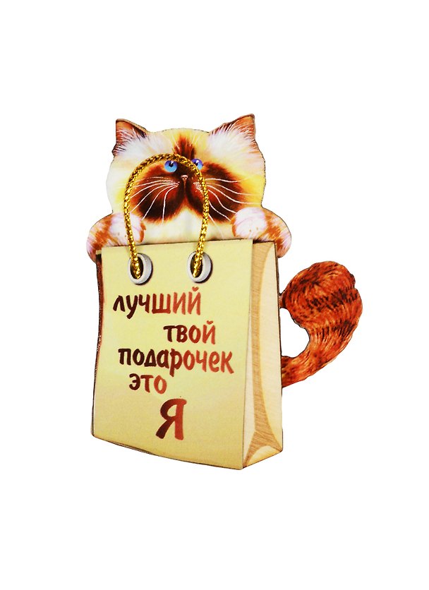 ГС Магнит Кот в мешке 1 Лучший твой подарочек (7,5см) дерево 2513782 — 1