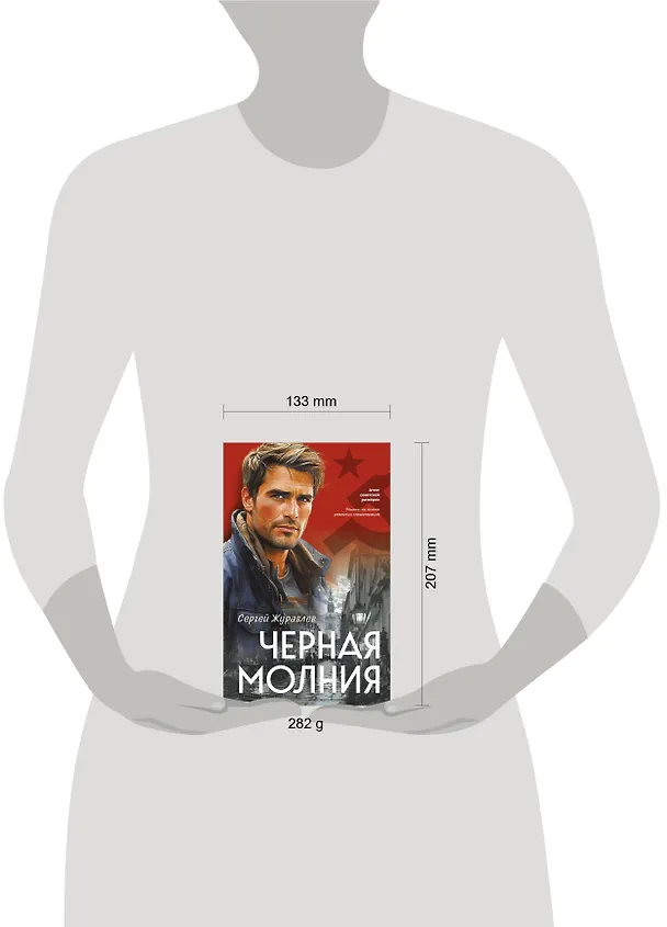 Книга Черная молния (Сергей Журавлев) — 5