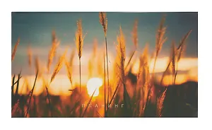 Планинг недат. 64л "На рассвете" карманный, интегр.переплет, мат.лам, офсет