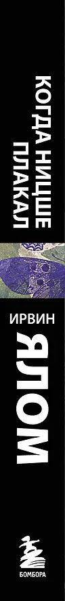 Книга Когда Ницше плакал (Ирвин Ялом) — 3