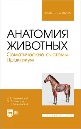 Анатомия животных. Соматические системы. Практикум. Учебное пособие для вузов — 2883954 — 1