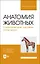 Анатомия животных. Соматические системы. Практикум. Учебное пособие для вузов — 2883954 — 1