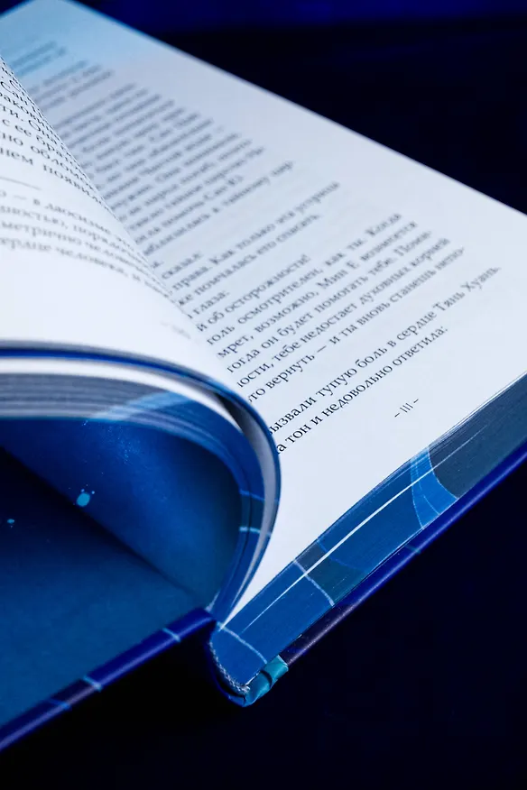 Книга Светлый пепел луны. Книга 2. Новелла (коллекционное издание) (Тэнло Вэйчжи) — 16