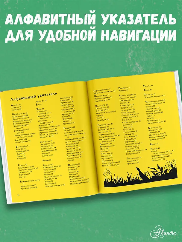 Книга Животные рядом с нами (Томас Мюллер) — 7
