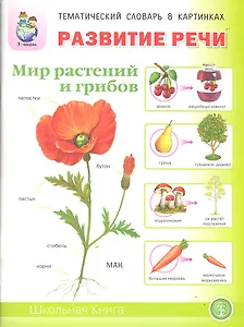 Развитие речи Мир растений и грибов Фрукты Овощи… Тем. словарь в картинках (м) (5-7 л.)