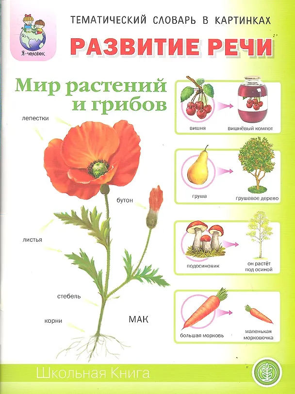 Книга Развитие речи Мир растений и грибов Фрукты Овощи… Тем. словарь в картинках (м) (5-7 л.) (Ирина Дурова) — 1