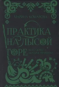 Практика на Лысой горе