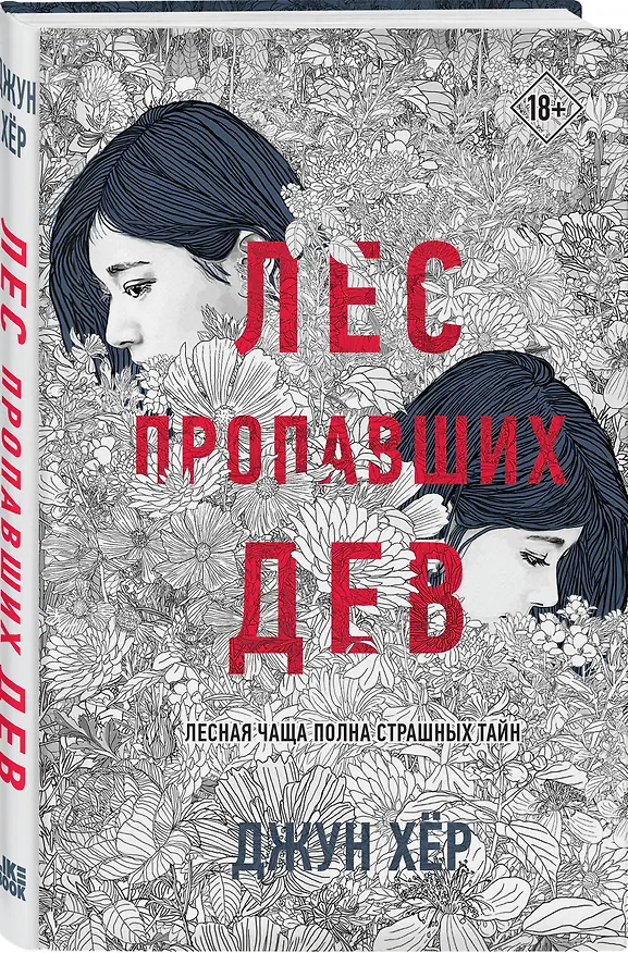 Книга Лес пропавших дев (Джун Хёр) — 4
