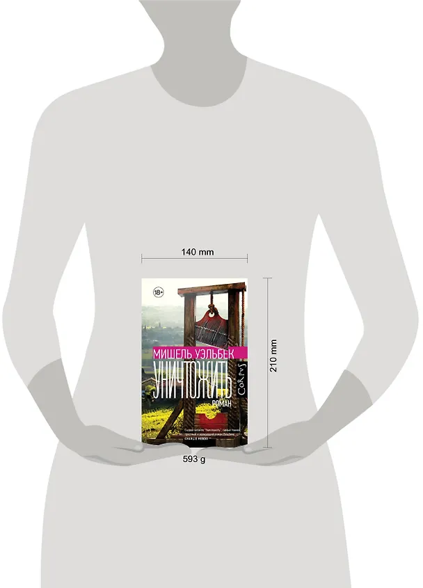 Книга Уничтожить (Мишель Уэльбек) — 8