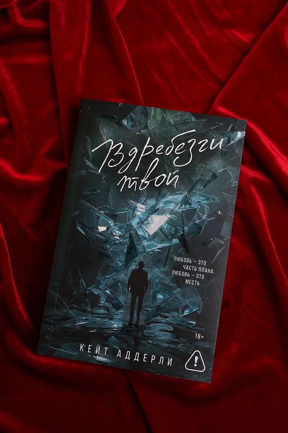 Книга Вдребезги твой (Кейт Аддерли) — 10