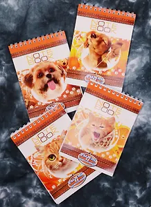 Блокнот "Рыжий и довольный" А6 40 листов клетка