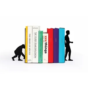 ФАЙНДИЗАЙН Ограничитель для книг Evolution DHBEEVO 2368556