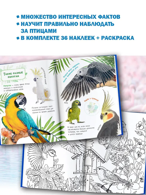 Книга Птицы (Мария Рахчеева) — 9