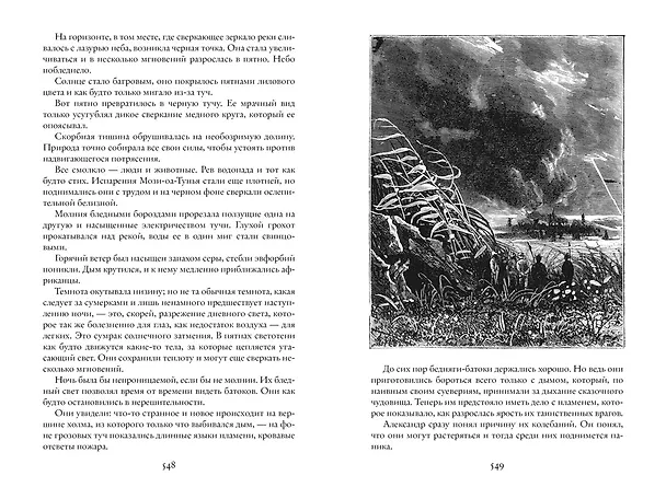Книга Похитители бриллиантов (Луи Анри Буссенар) — 4