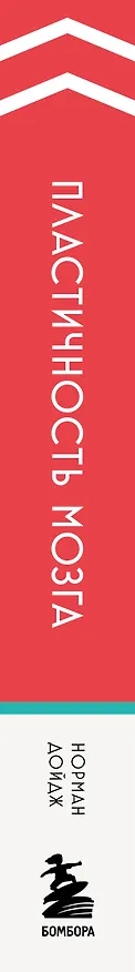 Книга Пластичность мозга. Потрясающие факты о том, как мысли способны менять структуру и функции нашего мозга (Норман Дойдж) — 3