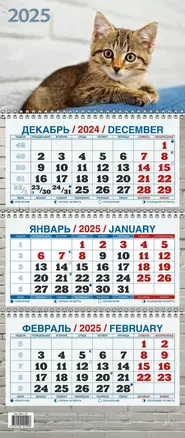 Календарь квартальный 2025г 195*465 "КОТЁНОК" настенный, трёхблочный, спираль — 3053956 — 1