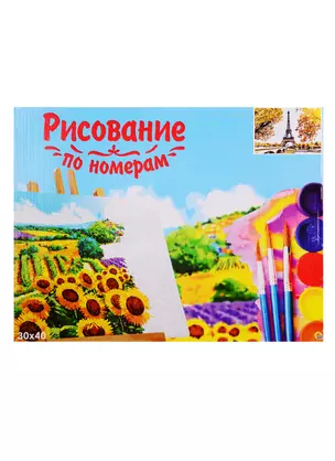 Набор для раскрашивания по номерам ТМ Рыжий Кот Холст Осенний Париж 30х40см Х-9122 — 2798293 — 1