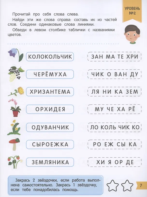 Книга Чтение + внимание (Ирина Мальцева) — 2