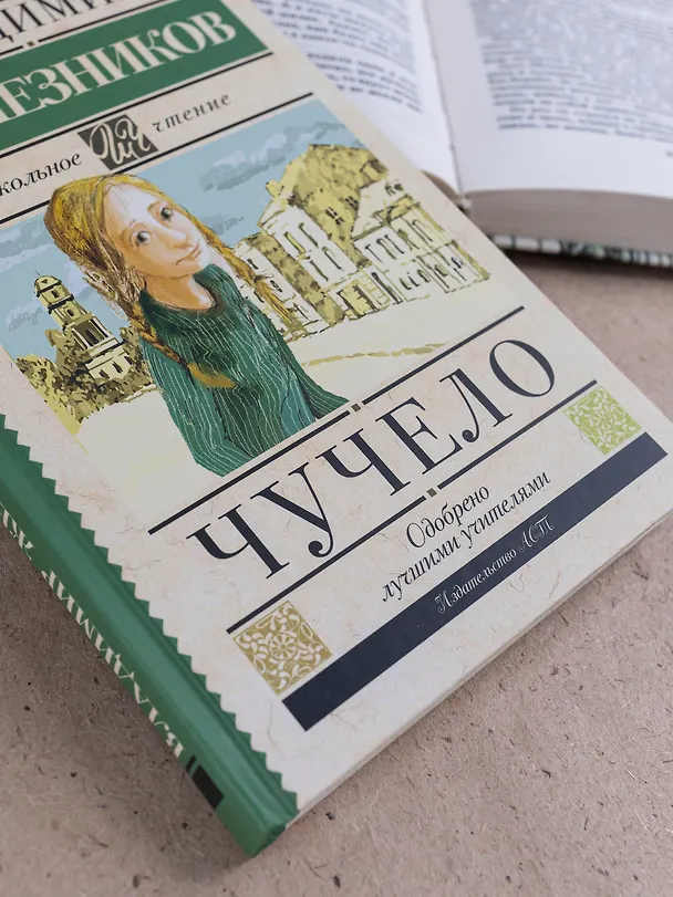 Книга Чучело (Владимир Железников) — 11