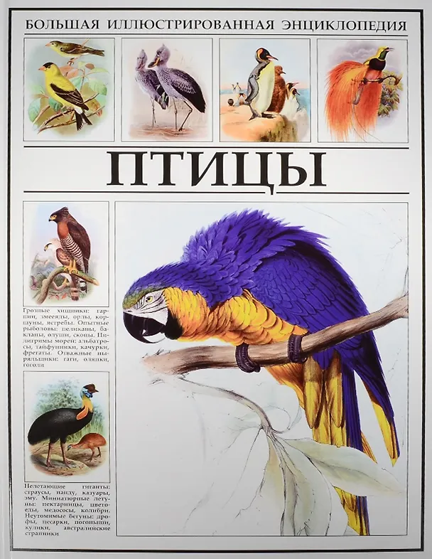 Книга Птицы () — 1