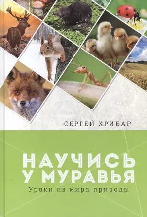 Научись у муравья Уроки из мира природы (Хрибар) — 2600274 — 1