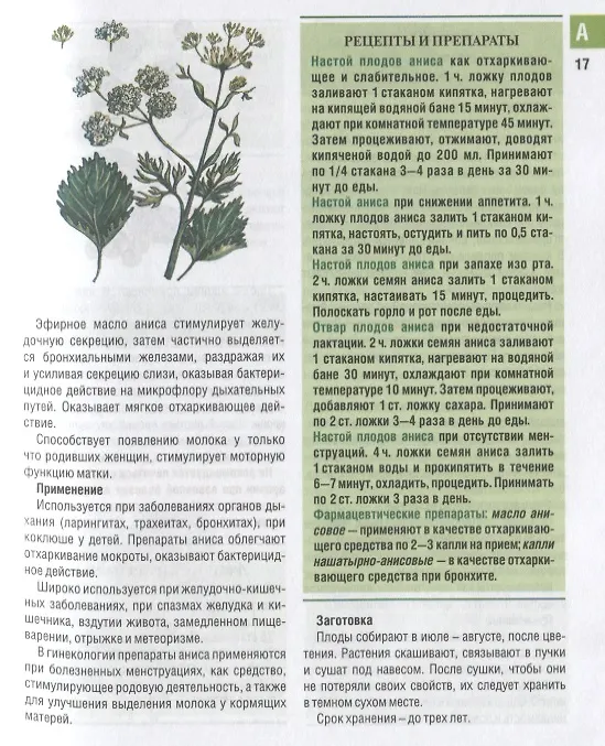 Книга Самые необходимые лекарственные растения. Характеристики, применение, рецепты, препараты (Иван Куреннов) — 6