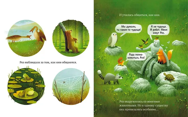 Книга Дикий робот на острове (Питер Браун) — 17
