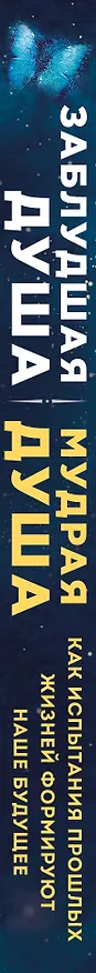 Книга Заблудшая душа - мудрая душа. Как испытания прошлых жизней формируют наше будущее (Карен Джой) — 3